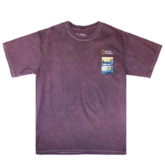 NATIONAL GEOGRAPHIC : PATAGONIA CHILE | MEN'S TEE| WASHED WINE|