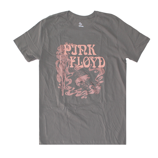 TS17487PFDU: PINK FLOYD |MEN'S TEE| CHARCOAL |