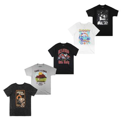 PEANUTS ASSORTED PRINTS| MEN'S TEE | ASSORTED COLORS |